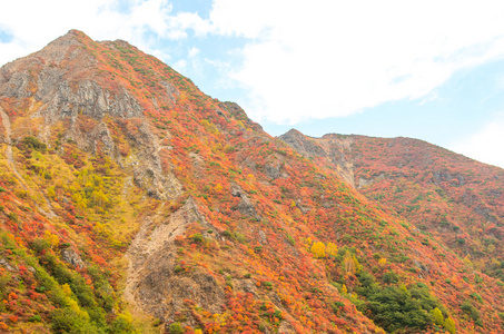 日本秋季 Mt.Nasu,tochigi,tourism