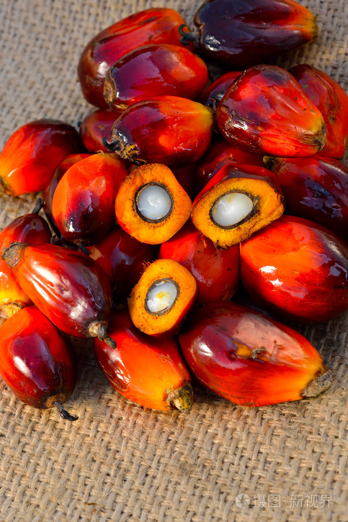 新鲜的油棕榈果选择性聚焦的特写