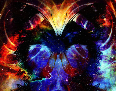 蝴蝶在飞行中图片