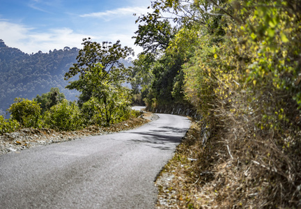 山坡上的路