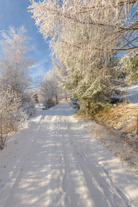 下雪在山区道路上阳光和寒冷的一天