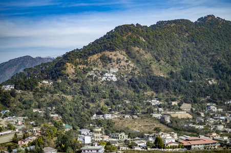 与野火烧山图片