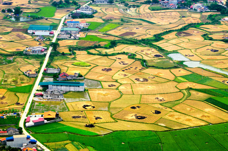 Langson，越南稻田