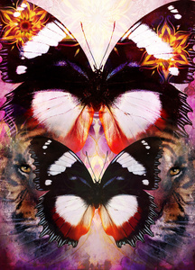 老虎和蝴蝶与观赏曼陀罗在抽象的背景下，与现货的结构