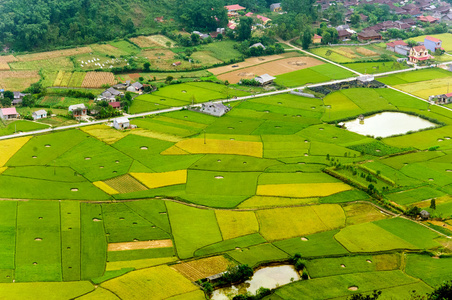 Langson，越南稻田