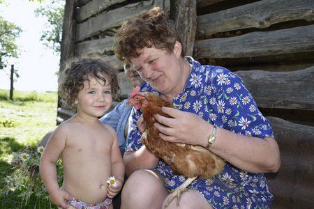 夏天在我祖母的村子里抱着一只鸡