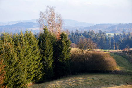 vysocina 风景与森林