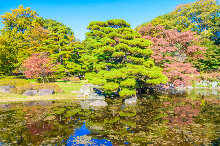 在公园在皇宫花园