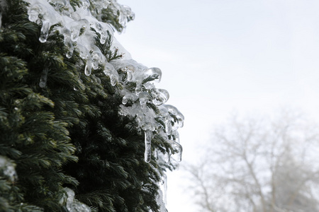 冬季景观雪和冰