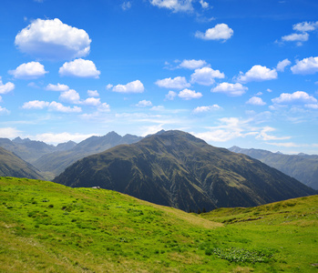 在瑞士阿尔卑斯山的夏天风景