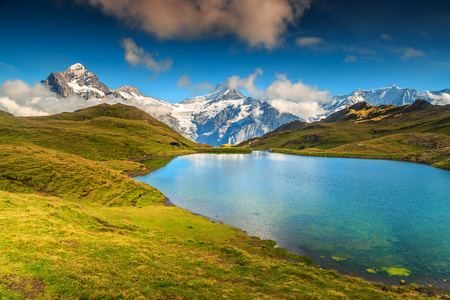 美丽的高山湖 Bachalpsee，格林德沃，瑞士，欧洲