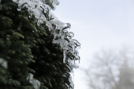 冬季景观雪和冰