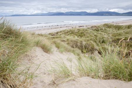 Rossbeigh 海滩，县克里