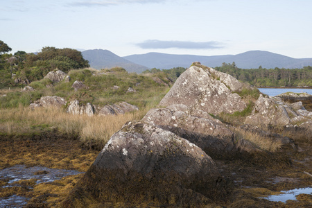 beara 半岛湖软木