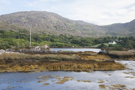 beara 半岛湖软木