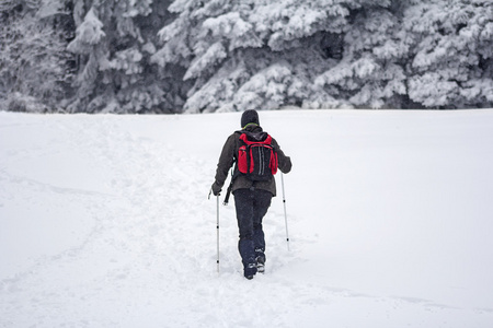 雪林中的登山者图片