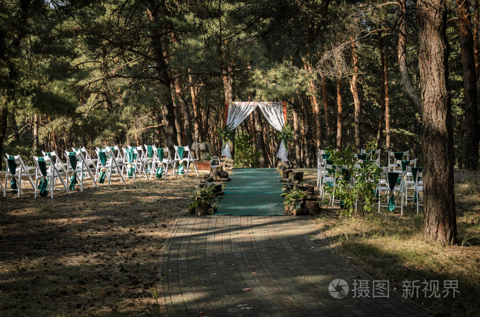 在树林里的婚礼