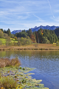 在上部巴伐利亚湖 Ferchensee