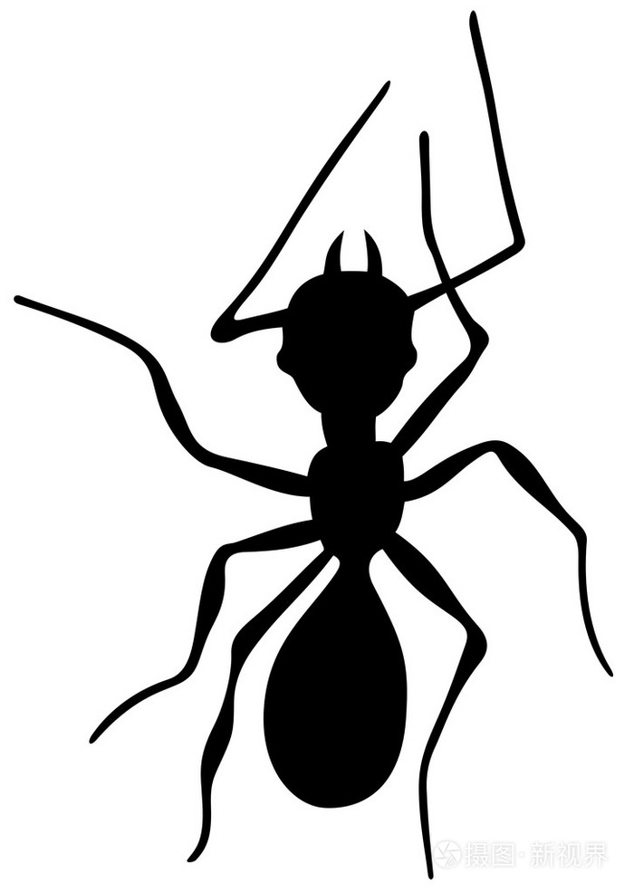 黑蚂蚁剪影矢量