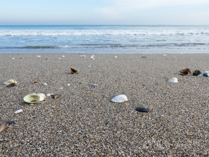 在沙上的贝壳对抗汹涌的大海