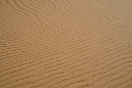 在摩洛哥的撒哈拉沙漠