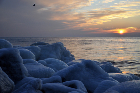 在波兰北部的冬天海景图片