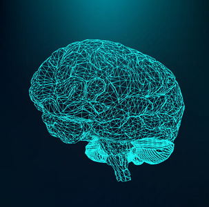 矢量图人类的大脑.多边形结构网格.抽象的创意概念向量背景.分子格.