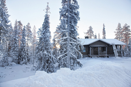 芬兰鲁卡村日出时被雪覆盖的森林中的小屋