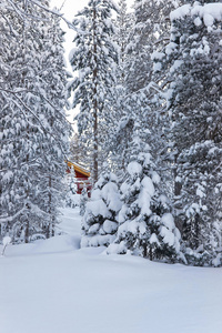 在芬兰鲁卡被雪覆盖的森林中, 几乎看不到小屋