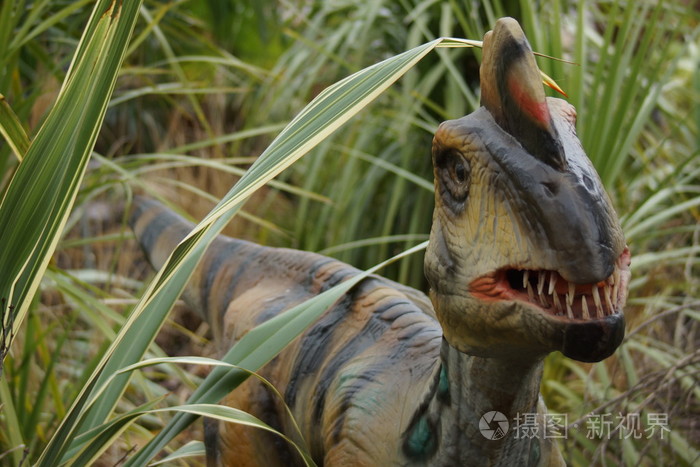 敏捷的偷蛋龙philoceratops