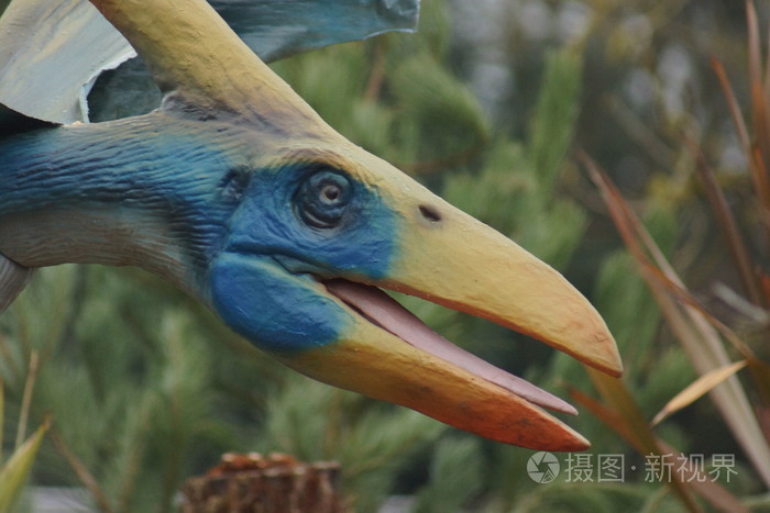 大的翼龙longiceps