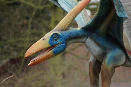 大佳能大的翼龙 longiceps照片