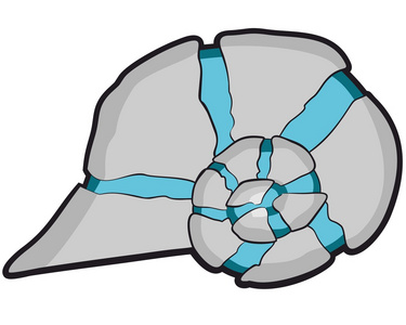蓝色海螺蜗牛图片
