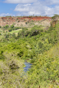 绿色风景与红色岩石在马达加斯加