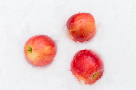 休息在雪中的红苹果