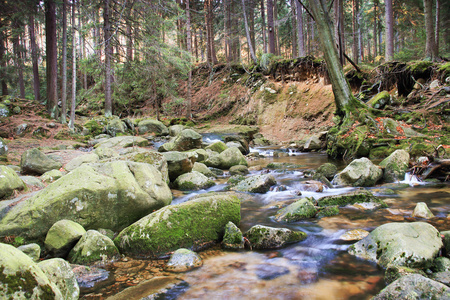 波兰森林的河流。山长满青苔的岩石