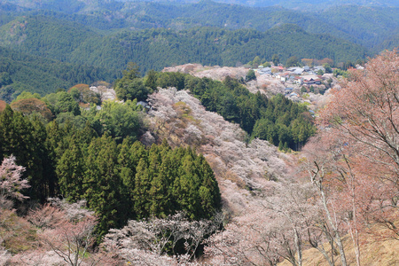 吉野水分神社，Yoshinoyama，奈良