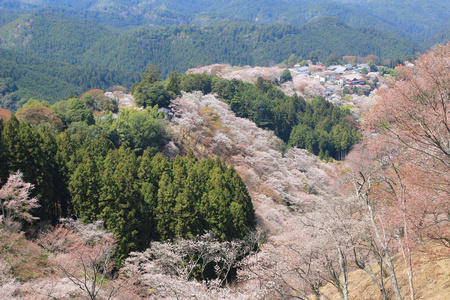 吉野水分神社，Yoshinoyama，奈良