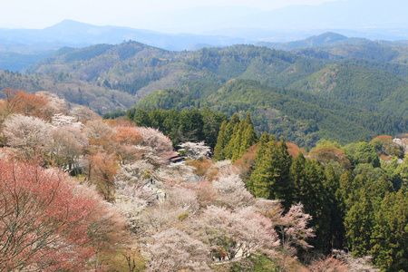 吉野水分神社，Yoshinoyama，奈良，日本