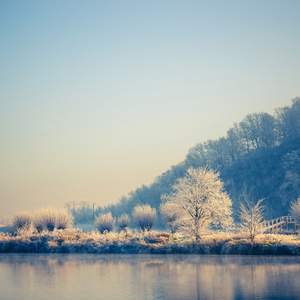 雪覆盖树木，冬季景观