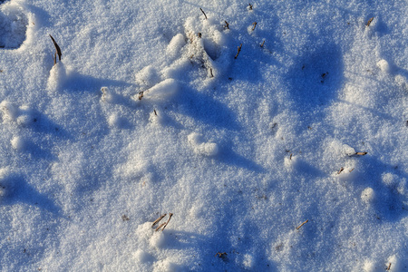 白雪覆盖的草地的质地