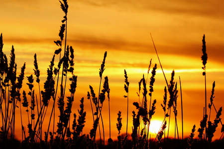 美丽的橙色夕阳