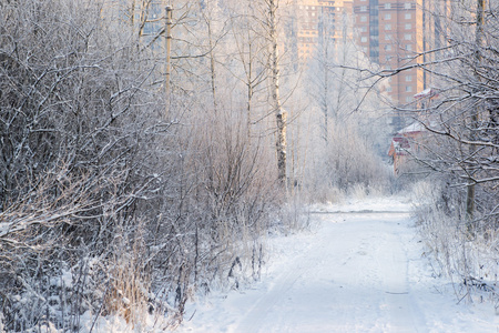 冬季道路积雪