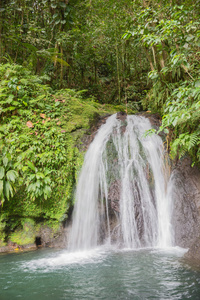 在雨林中的美丽瀑布。叶栅 aux Ecrevisses