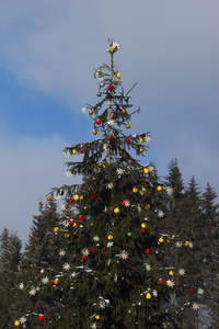 与冬季的灯圣诞树