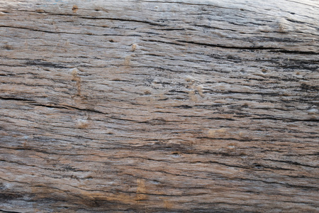 皮肤干燥木材纹理的老年的硬木背景
