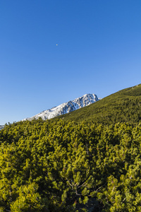 在山顶上的气球苍蝇