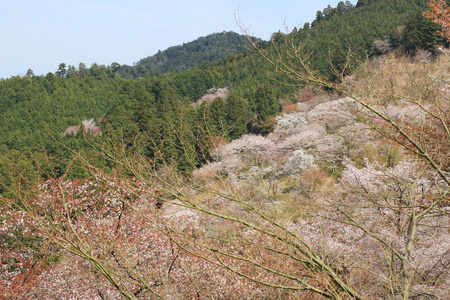 吉野水分神社，Yoshinoyama，奈良