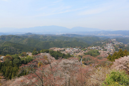 Yoshinoyama，奈良日本