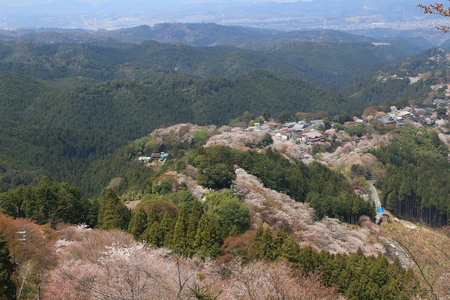 吉野水分神社，Yoshinoyama，奈良，日本